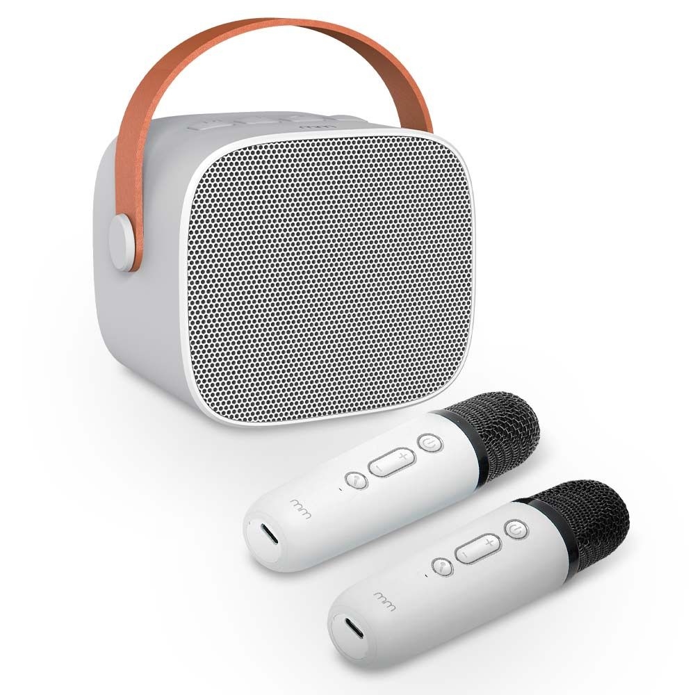 Portabelt Karaokeset med trådlösa mikrofoner