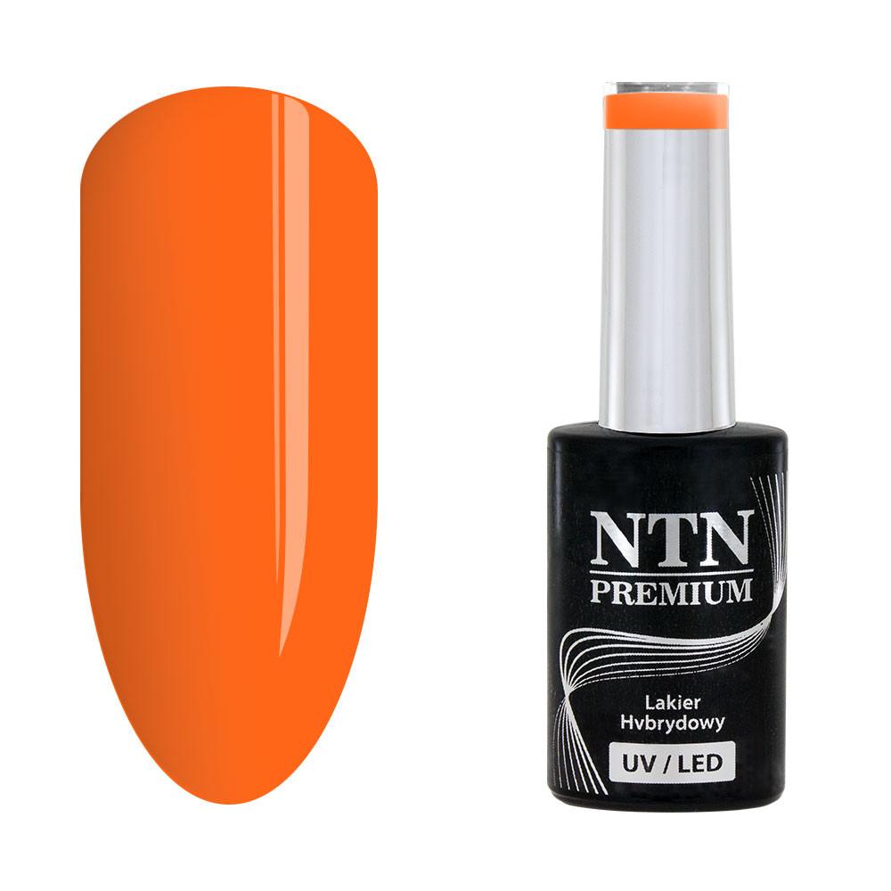 NTN Premium - Gellack - Ambrosia - Nr162 - UV-gel/LED