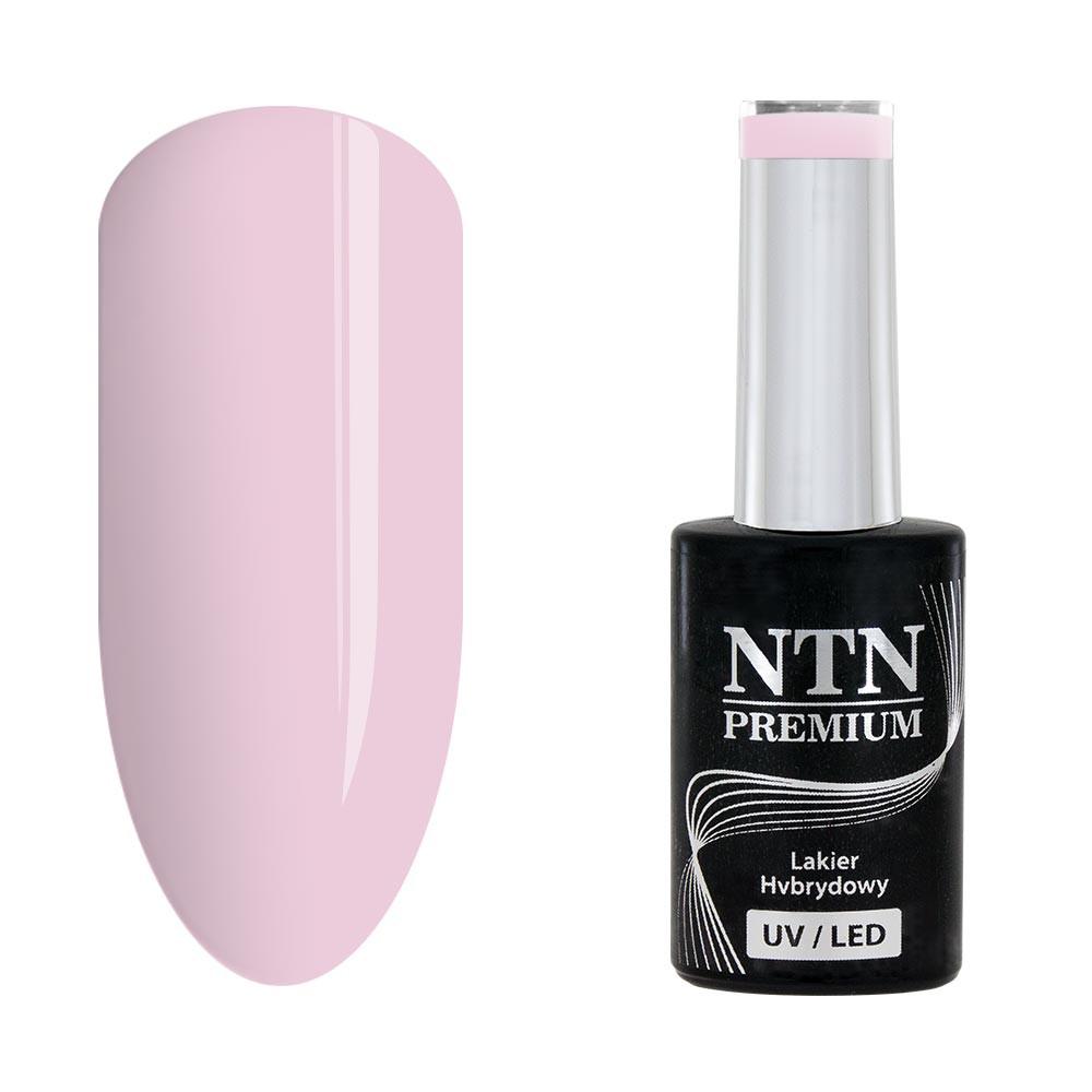 NTN Premium - Gellack - Birthday Party - Nr47 - UV-gel/LED