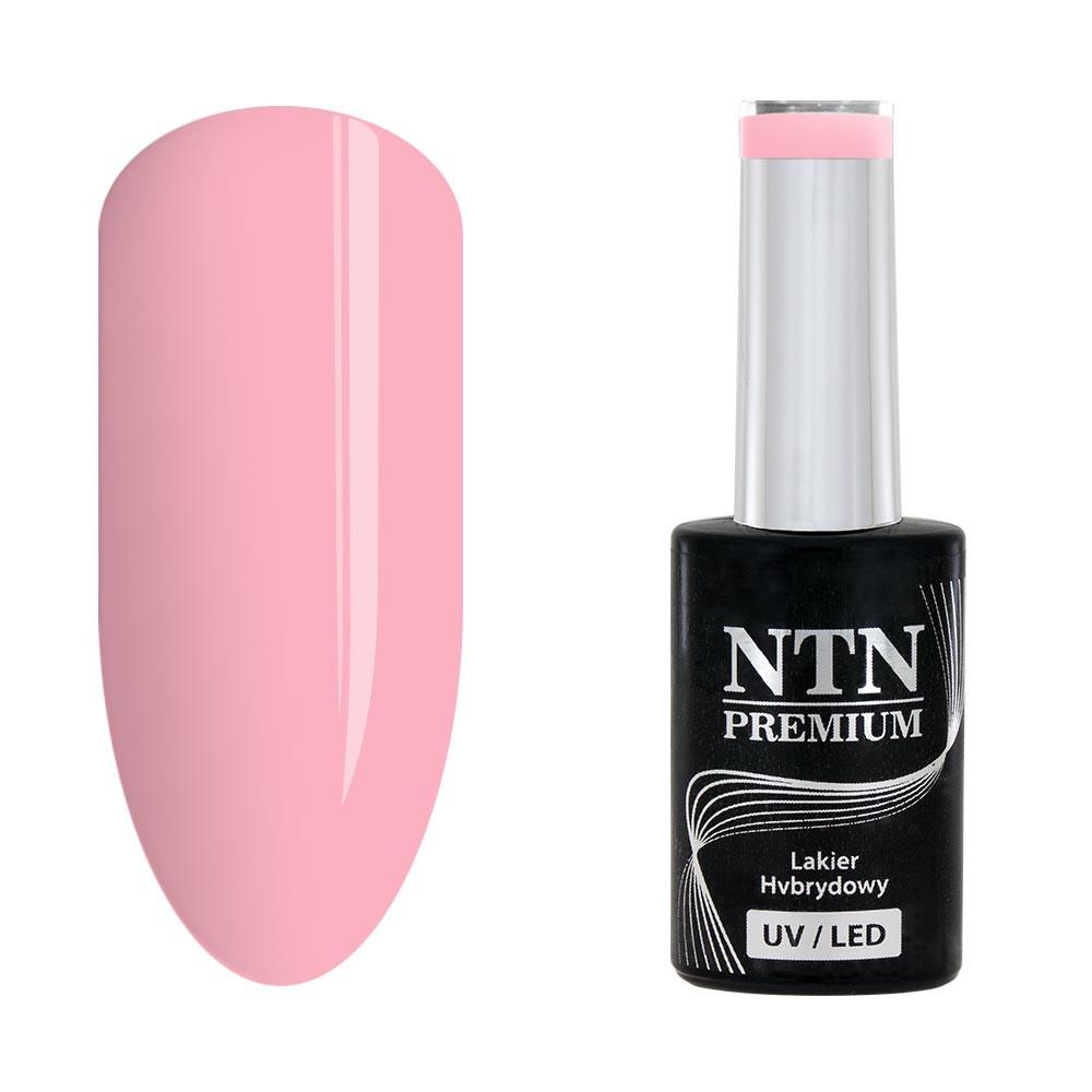 NTN Premium - Gellack - Birthday Party - Nr50 - UV-gel/LED