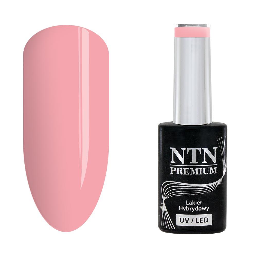 NTN Premium - Gellack - California - Nr141 - UV-gel/LED