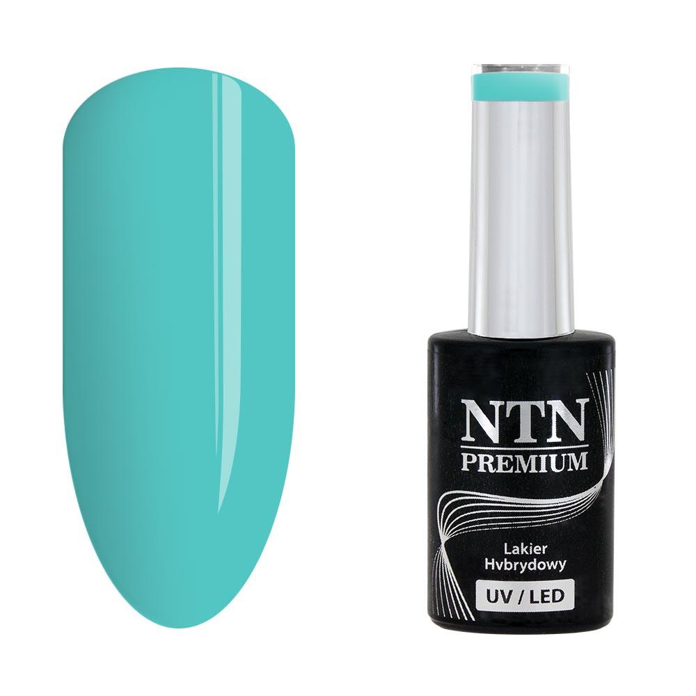 NTN Premium - Gellack - Dessert Collection - Nr95 - UVgel/LED