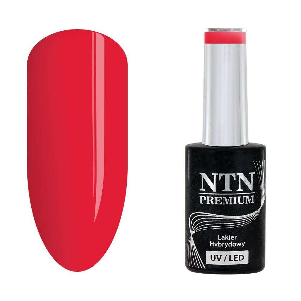 NTN Premium - Gellack - Show - Nr115 - UV-gel/LED