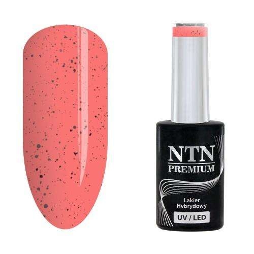 NTN Premium - Gellack - Sugar Puff - Nr187 - UV-gel/LED