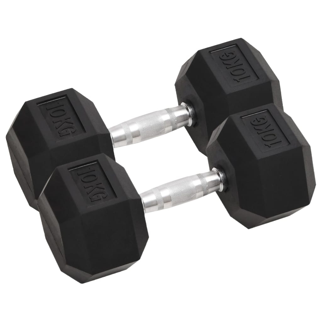 vidaXL Hantlar 2 st 20 kg gjutjärn