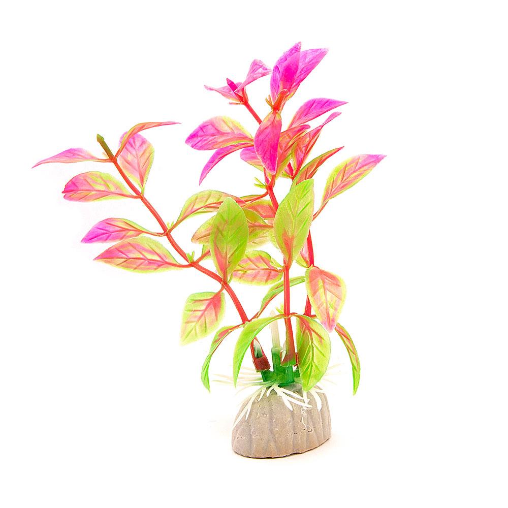 Akvarieväxt / inredning akvarium Konstgjord - Bladväxt Rosa