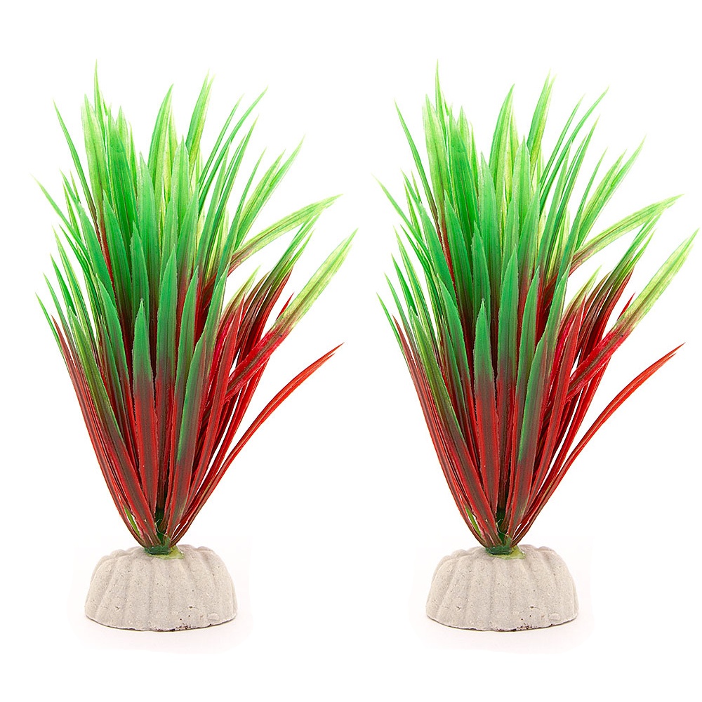 2-pack Akvarieväxt / inredning akvarium - Sjögräs Röd