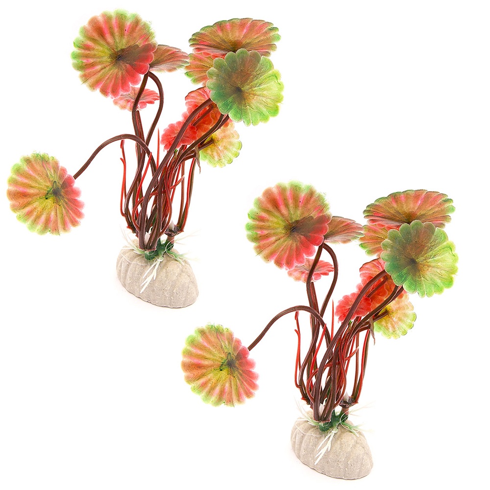 2 pack Akvarieväxt / inredning akvarium - Runda blad