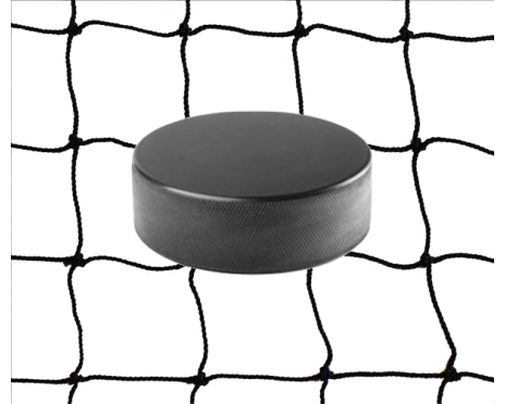 Hockey nät 8x3m, nylon 2mm