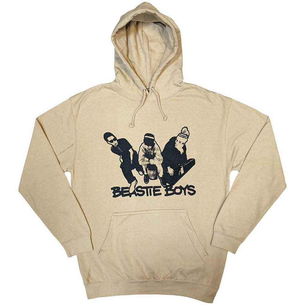 The Beastie Boys Unisex Pullover Hoodie: Check Your Head (Medium)