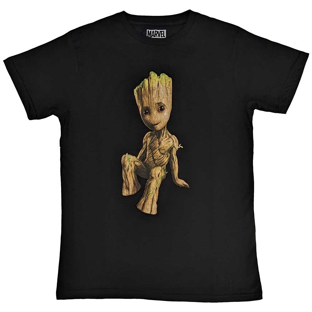 Marvel Comics Unisex T-Shirt: Guardians of the Galaxy Groot Perch (Small)