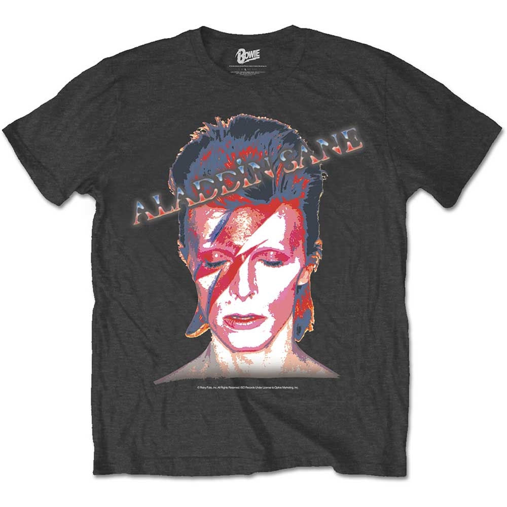 David Bowie Unisex T-Shirt: Aladdin Sane (Medium)