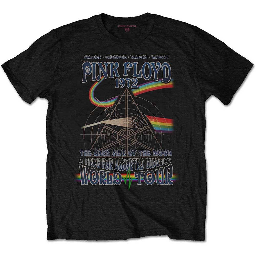 Pink Floyd Unisex T-Shirt: Assorted Lunatics (Small)
