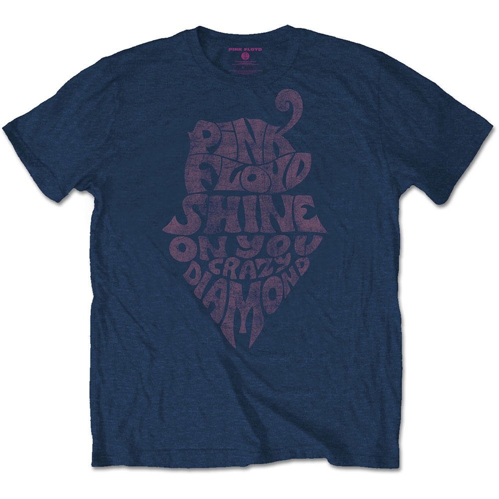 Pink Floyd Unisex T-Shirt: SOYCD Vintage (Small)