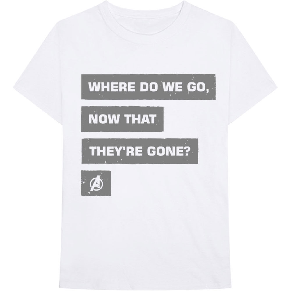 Marvel Comics Unisex T-Shirt: Avengers Now That They're Gone (XX-Large)