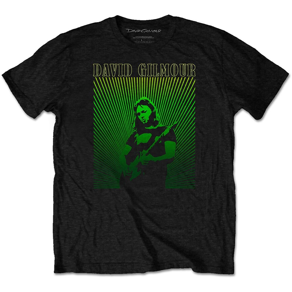 David Gilmour Unisex T-Shirt: Rays Gradient (Medium)