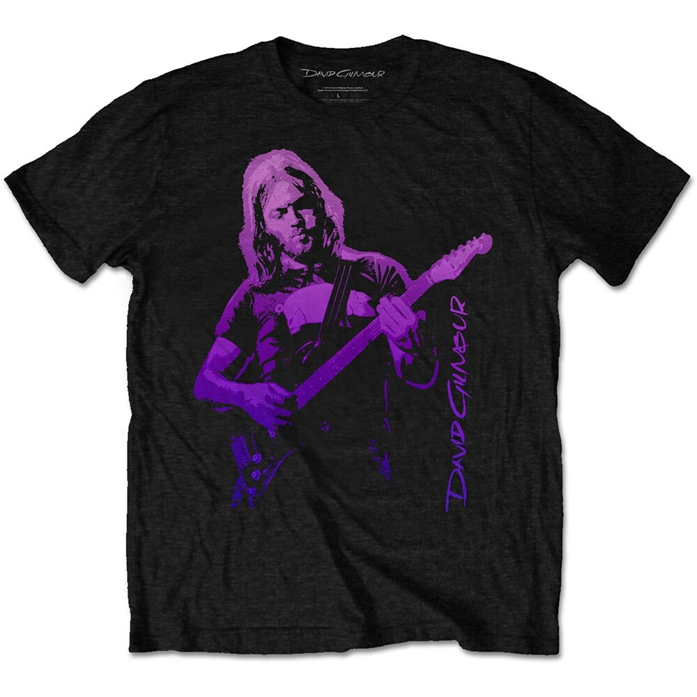 David Gilmour Unisex T-Shirt: Pig Gradient (Medium)