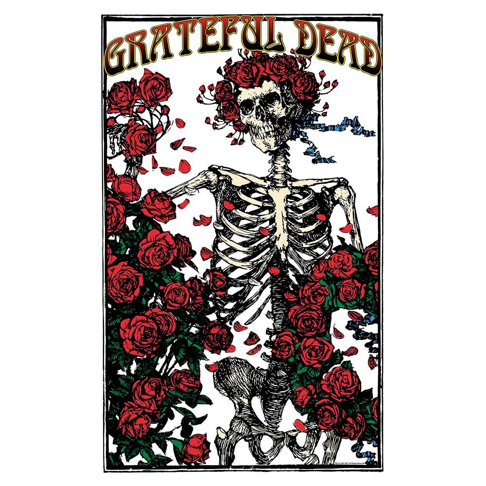 Grateful Dead Textile Poster: Skeleton &