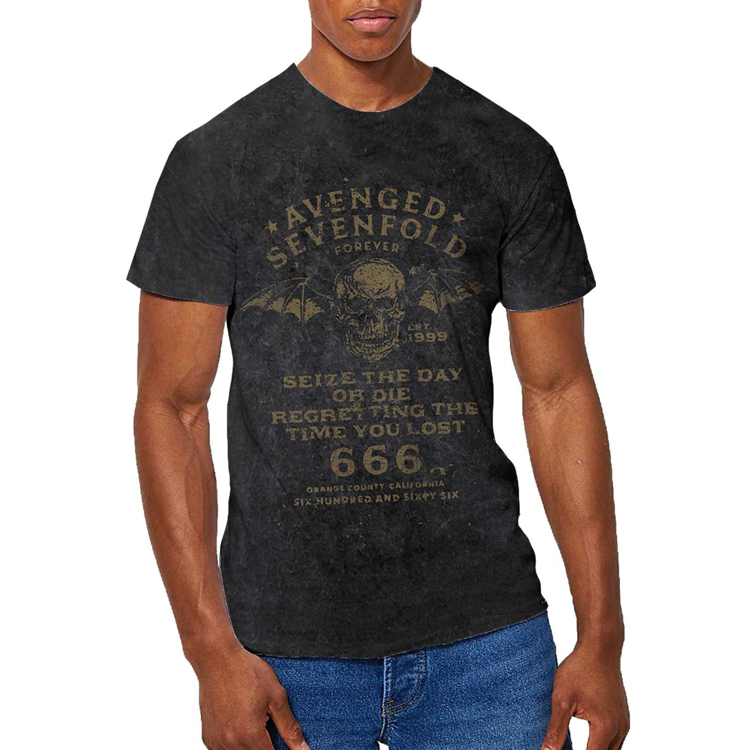 Avenged Sevenfold Unisex T-Shirt: Seize The Day (Wash Collection) (Small)