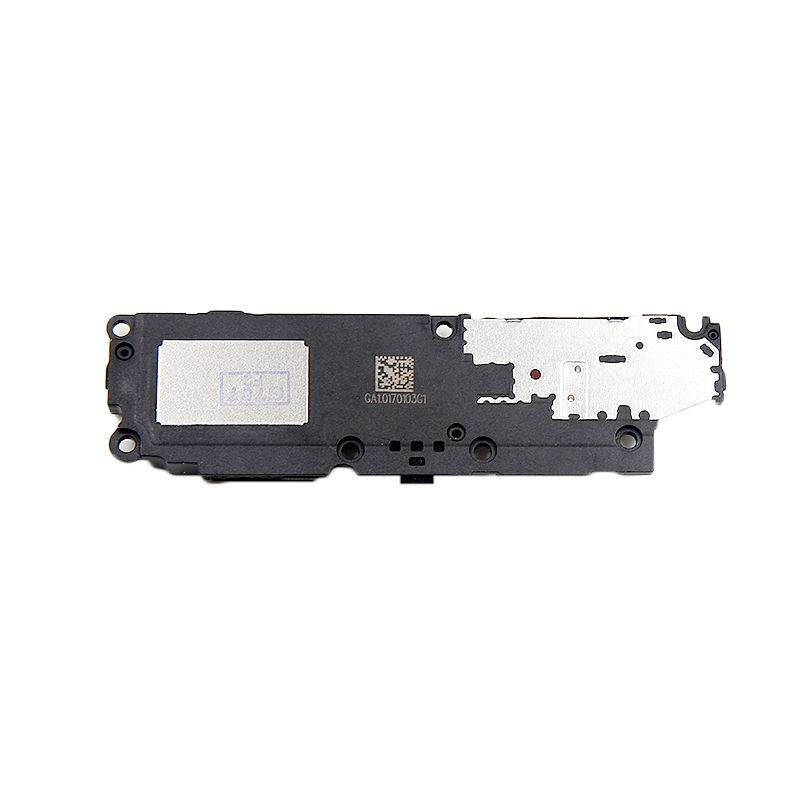 P10 Lite Högtalare