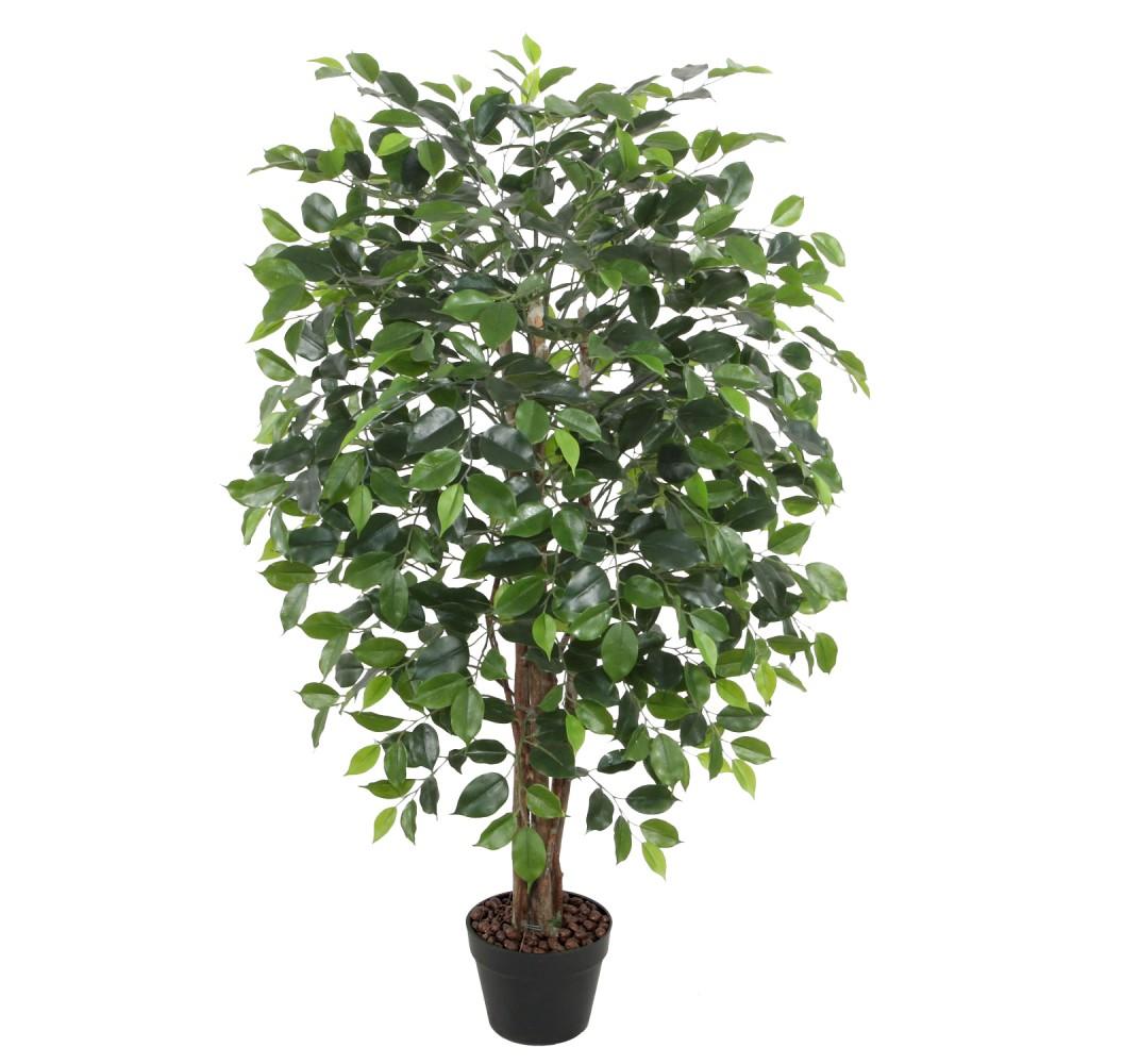 Grön växt FICUS H120cm | CDON