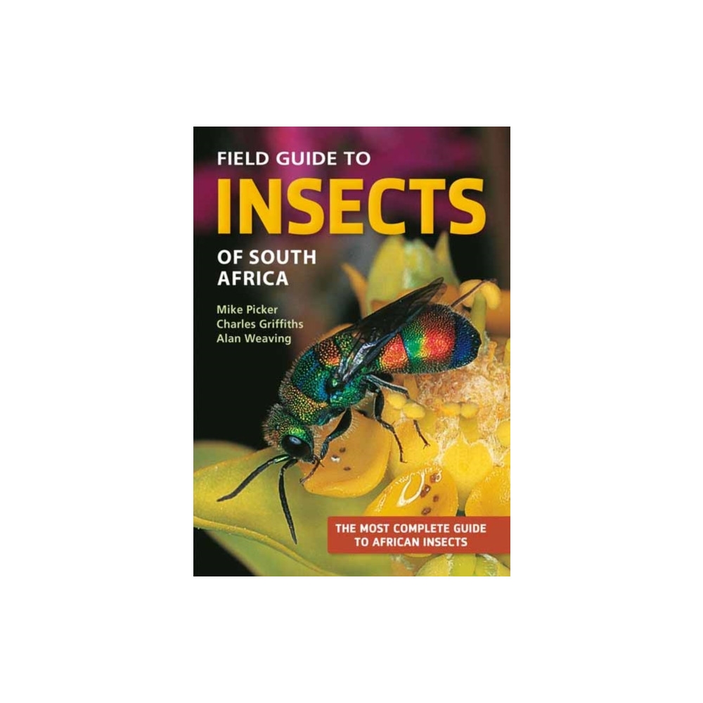 Field Guide to Insects of South Africa (häftad, eng) | CDON