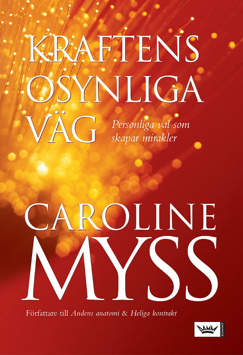 Kraftens osynliga väg 9789177158462