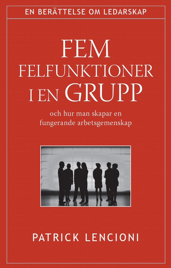 Fem felfunktioner i en grupp 9789179995072
