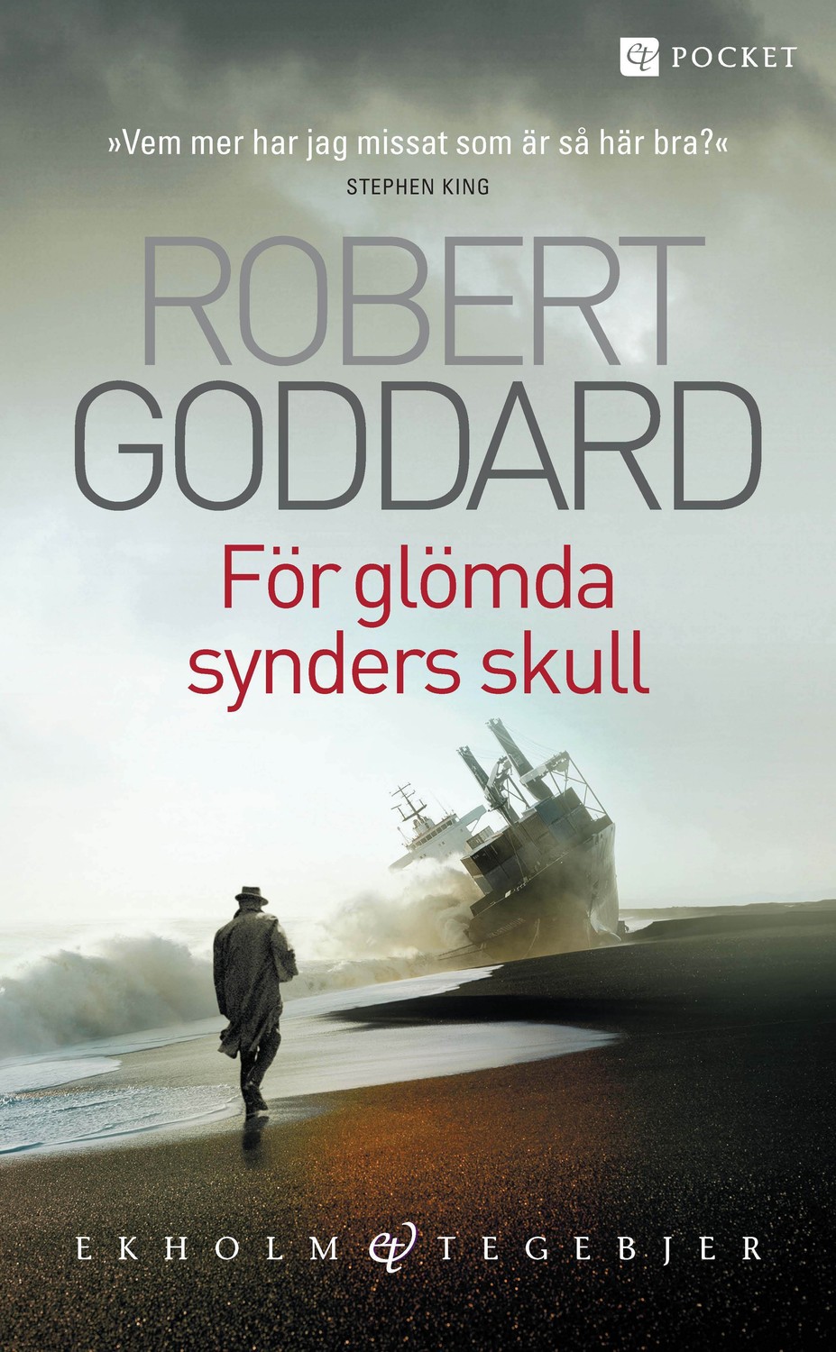 För glömda synders skull 9789186048112