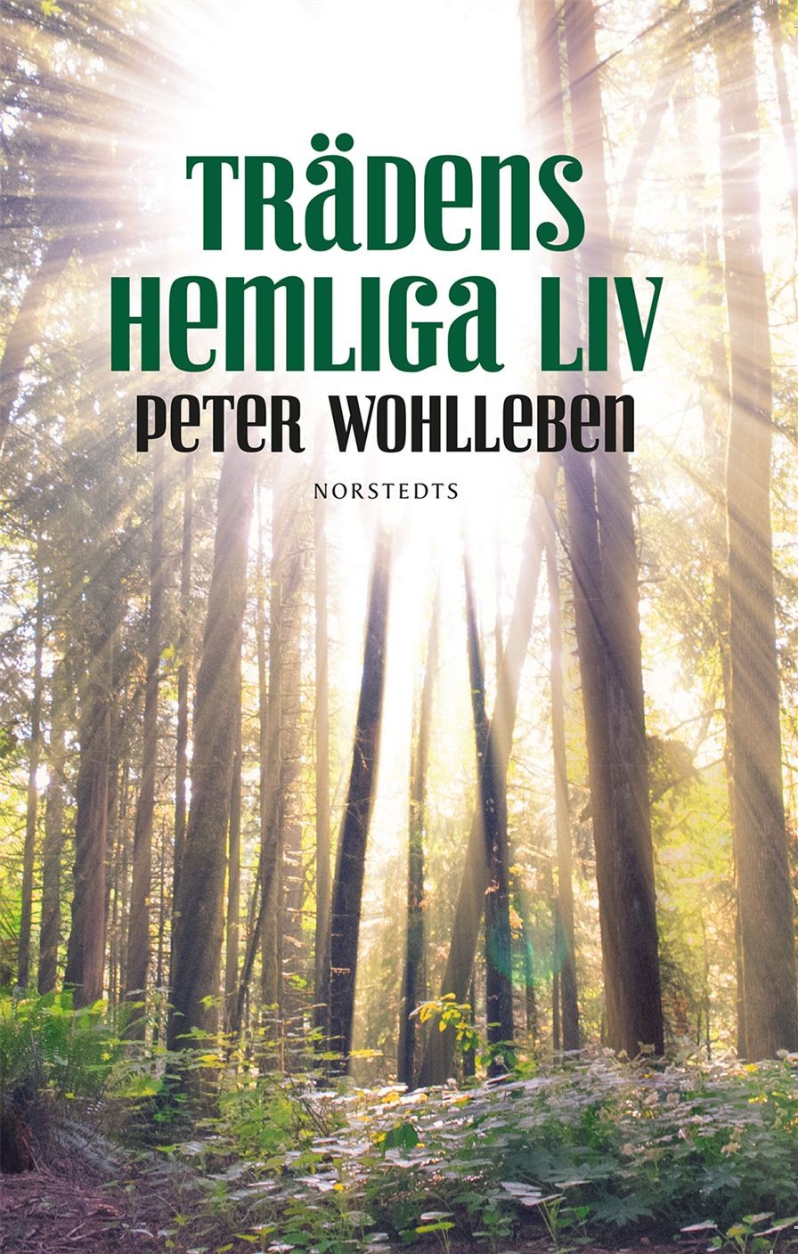 Trädens hemliga liv 9789113073590