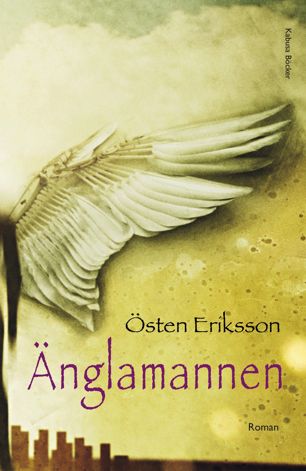 Änglamannen 9789173553186
