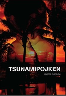 Tsunamipojken 9789187119576