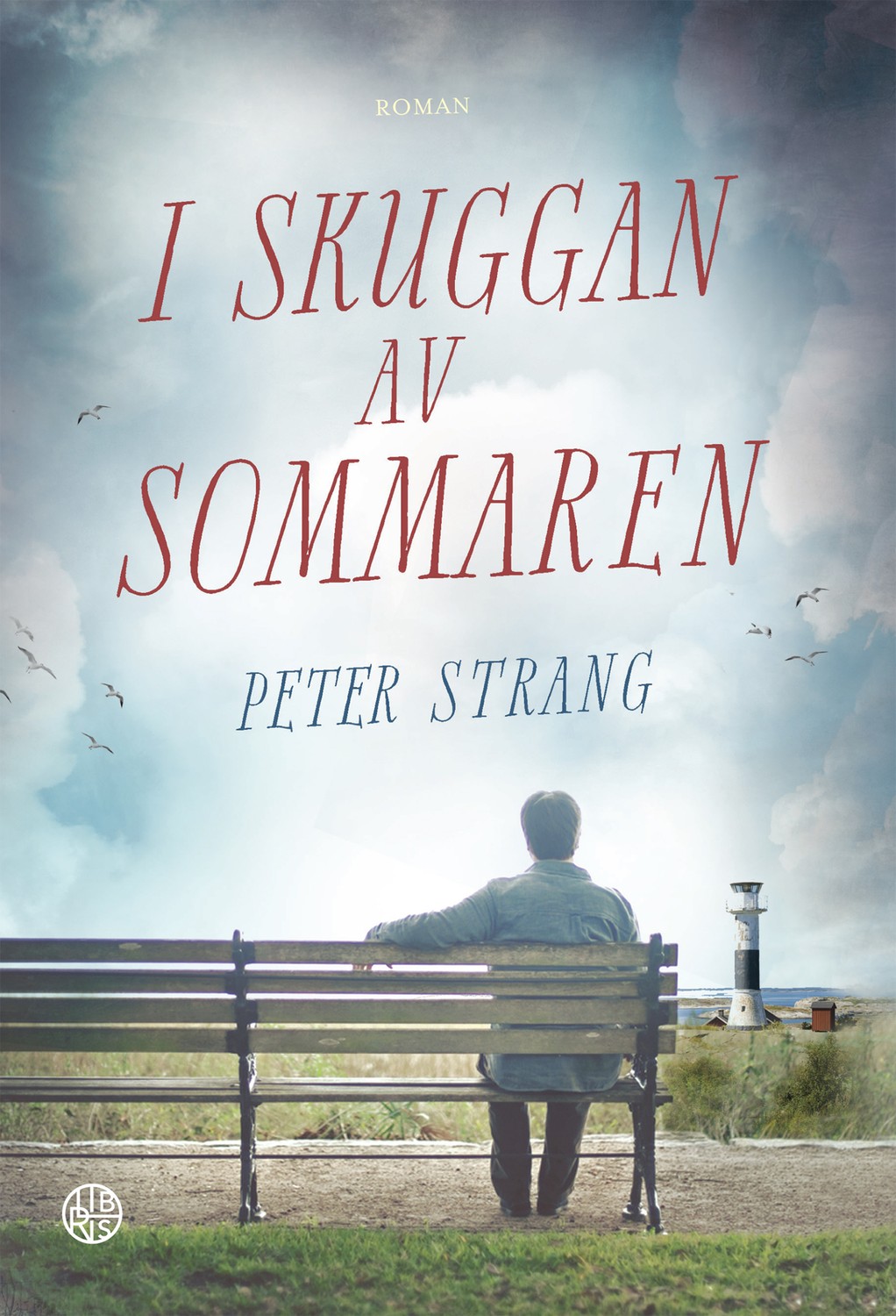 I skuggan av sommaren 9789173876766