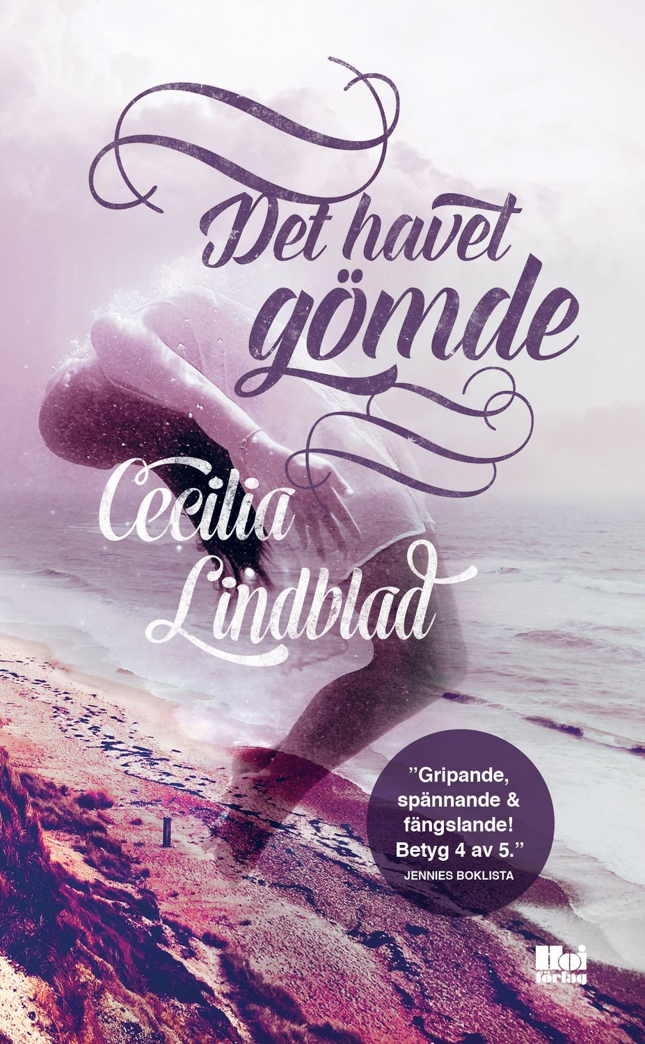 Det havet gömde 9789176971857