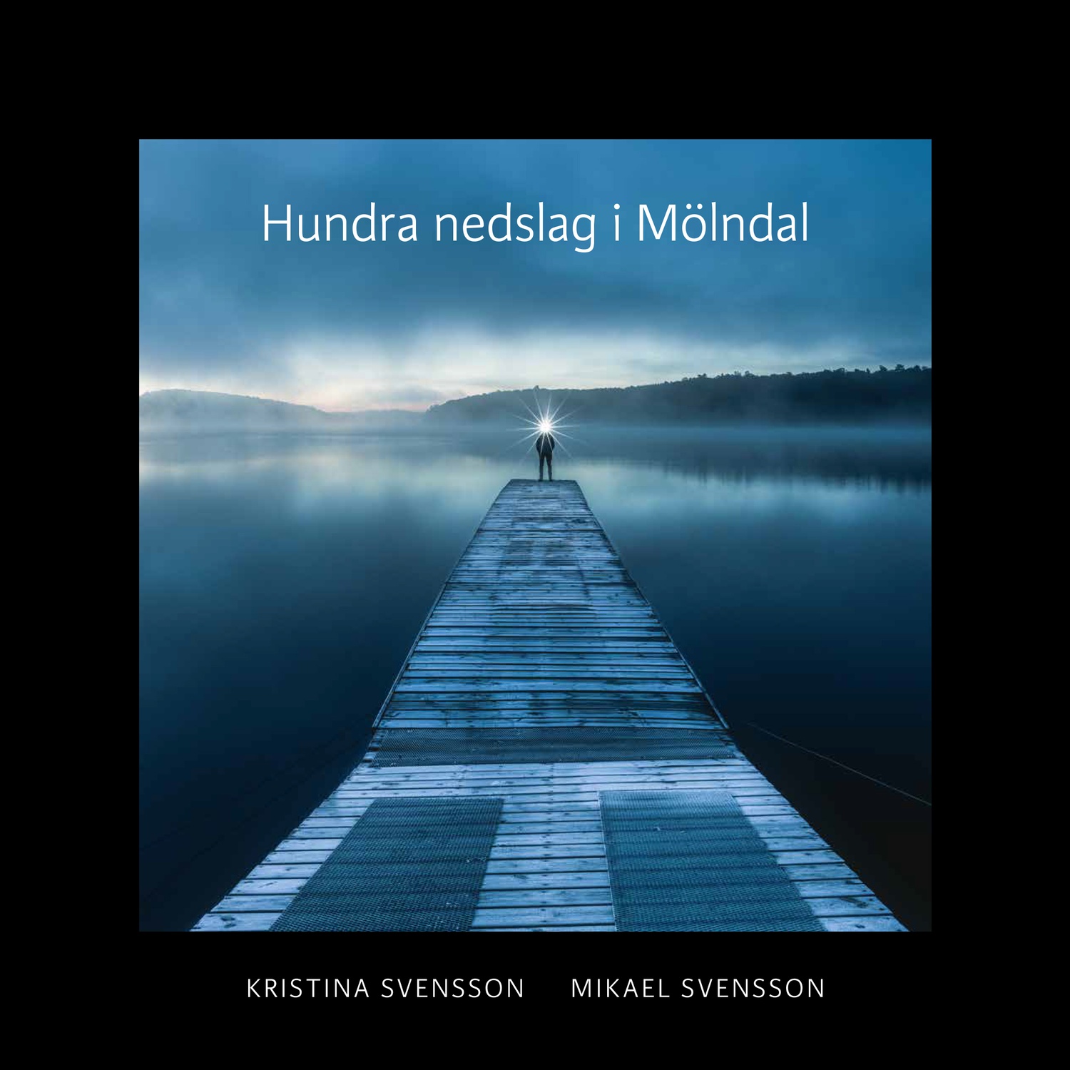 Hundra nedslag i Mölndal 9789198031553