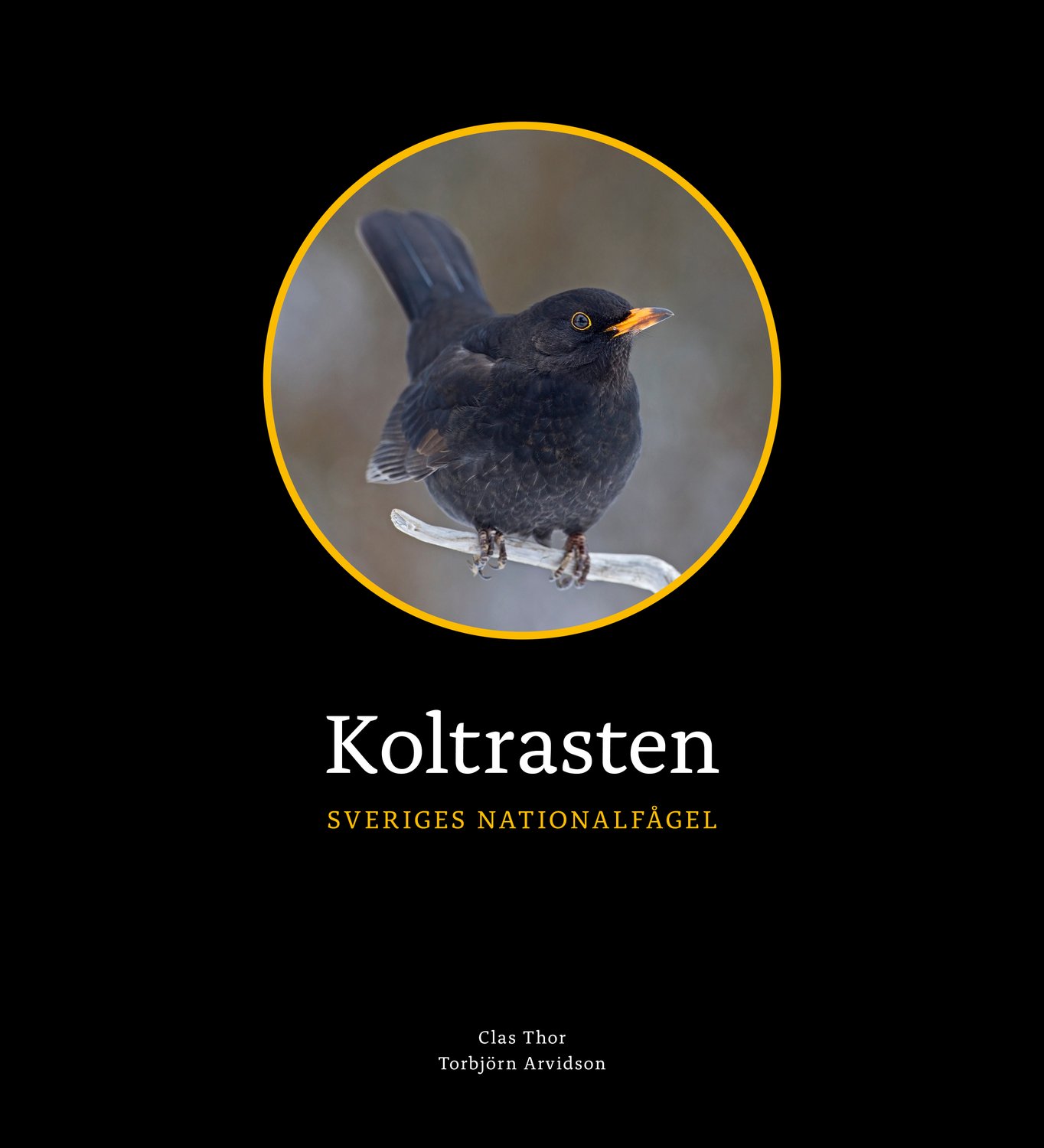 Koltrasten : Sveriges Nationalfågel 9789198516586