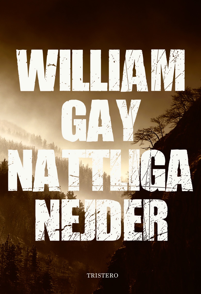 Nattliga nejder 9789198142679