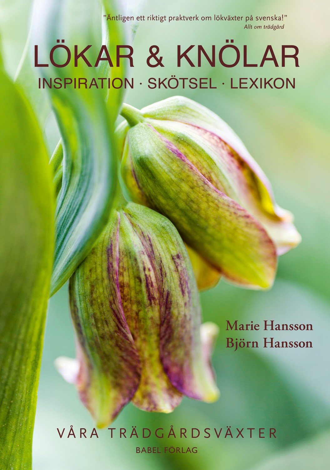 Lökar & knölar : inspiration, skötsel, lexikon 9789198293364