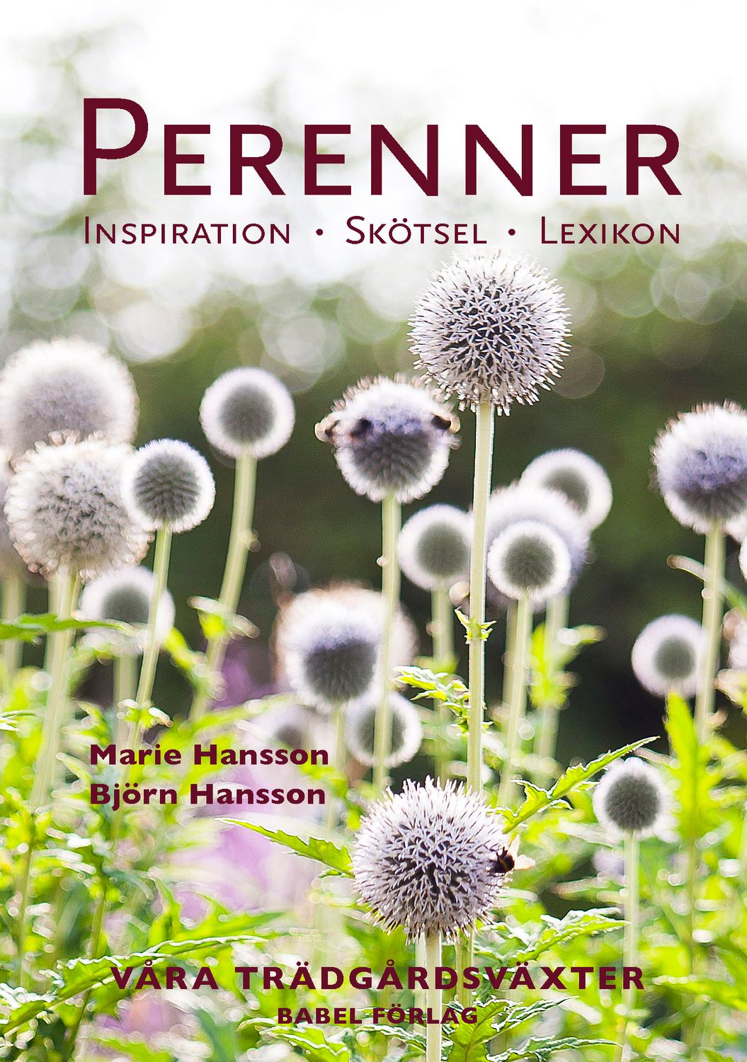 Perenner : Inspiration - Skötsel - Lexikon 9789198293357
