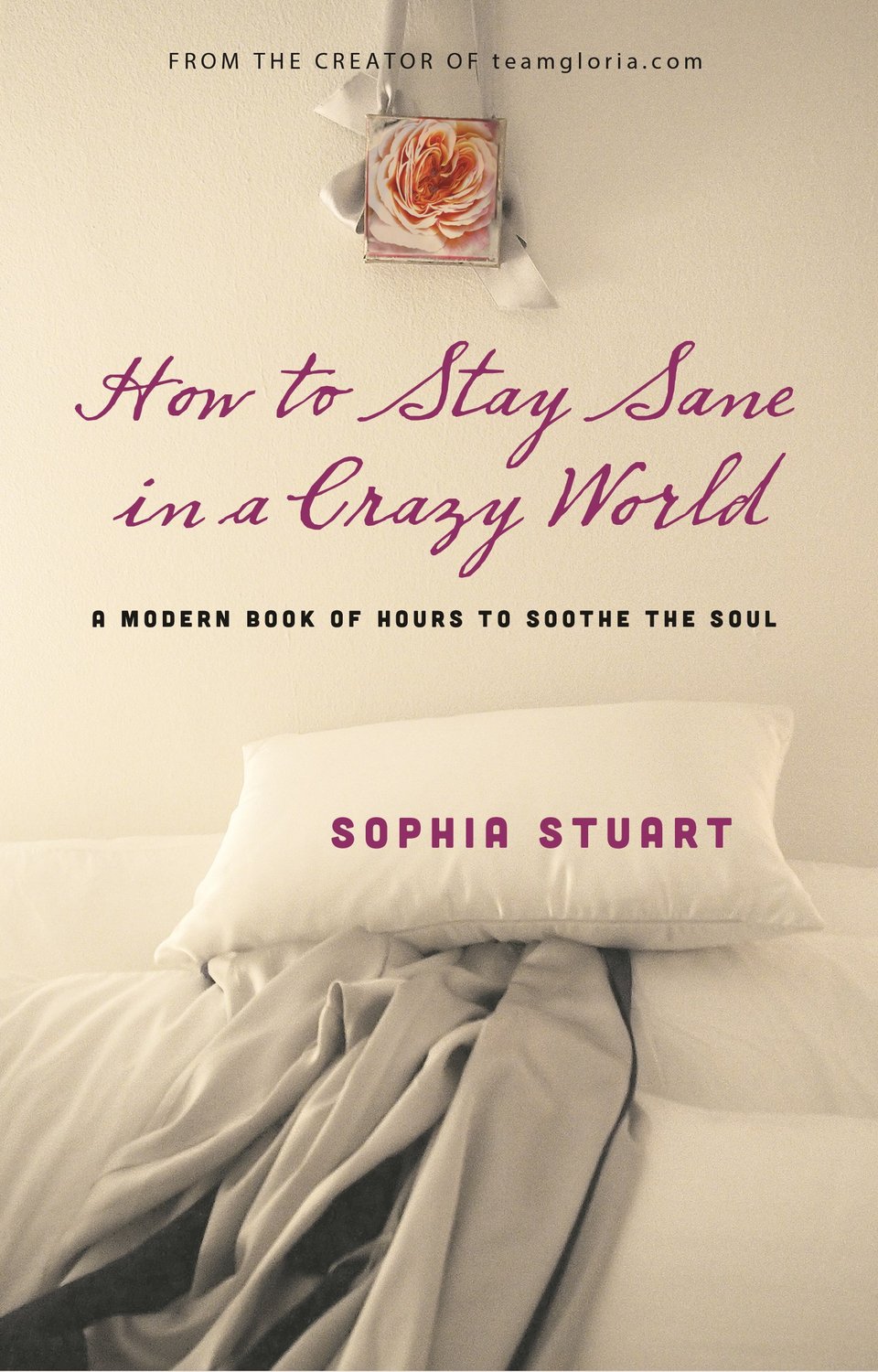 How to stay sane in a crazy world 9781401944100