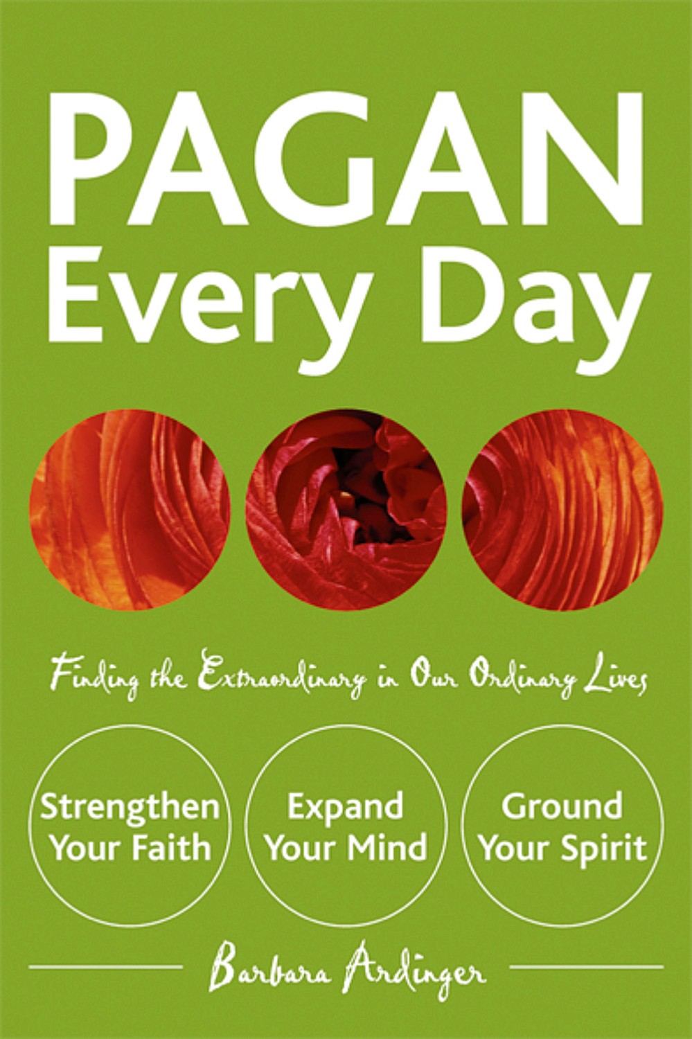 Pagan every day 9781578633326