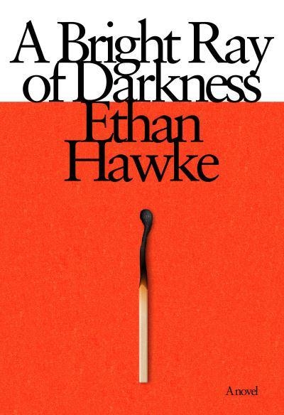 A bright ray of darkness 9781524712006
