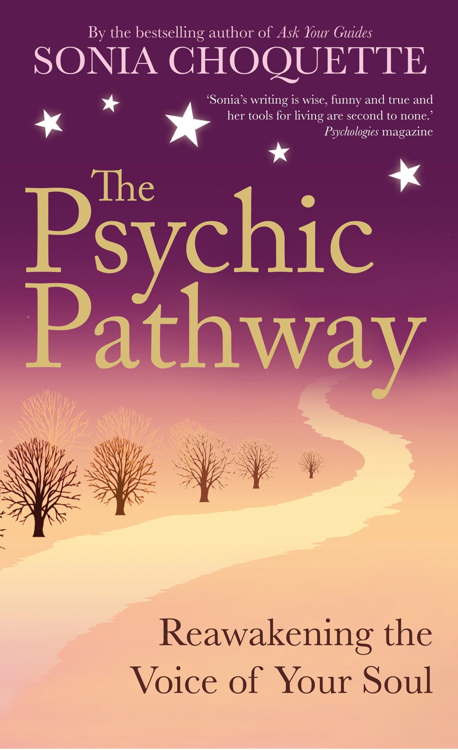 Psychic pathway 9781848502710