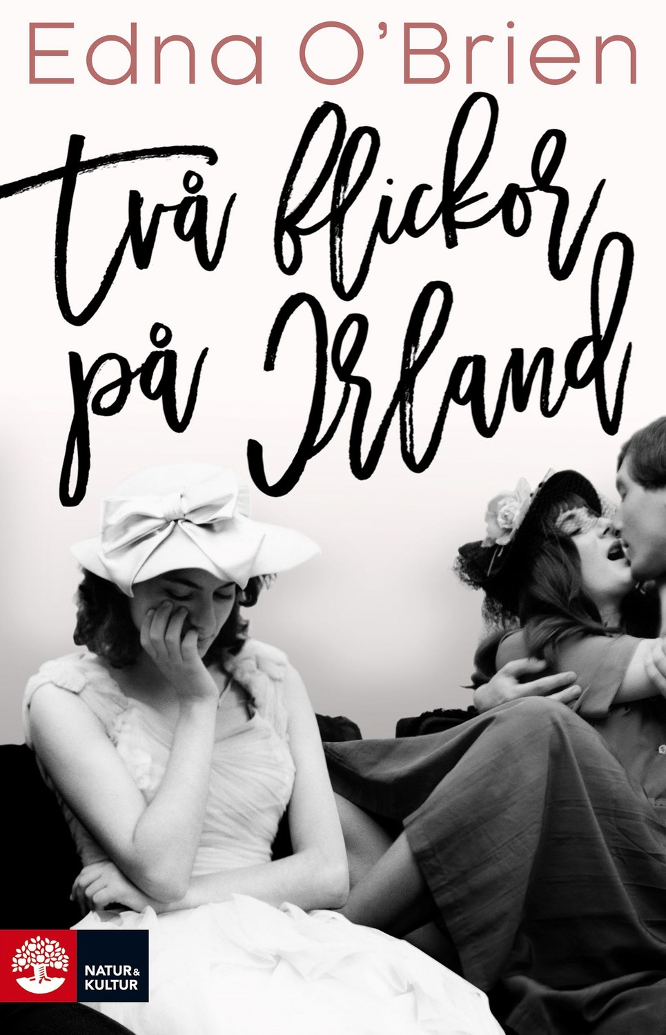 Två flickor på Irland 9789127166578
