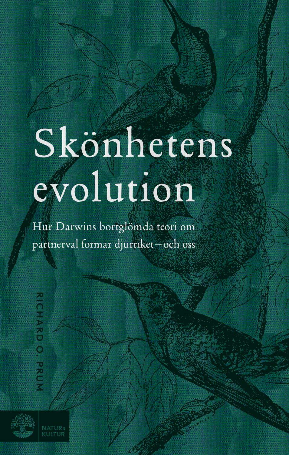 Skönhetens evolution 9789127162761