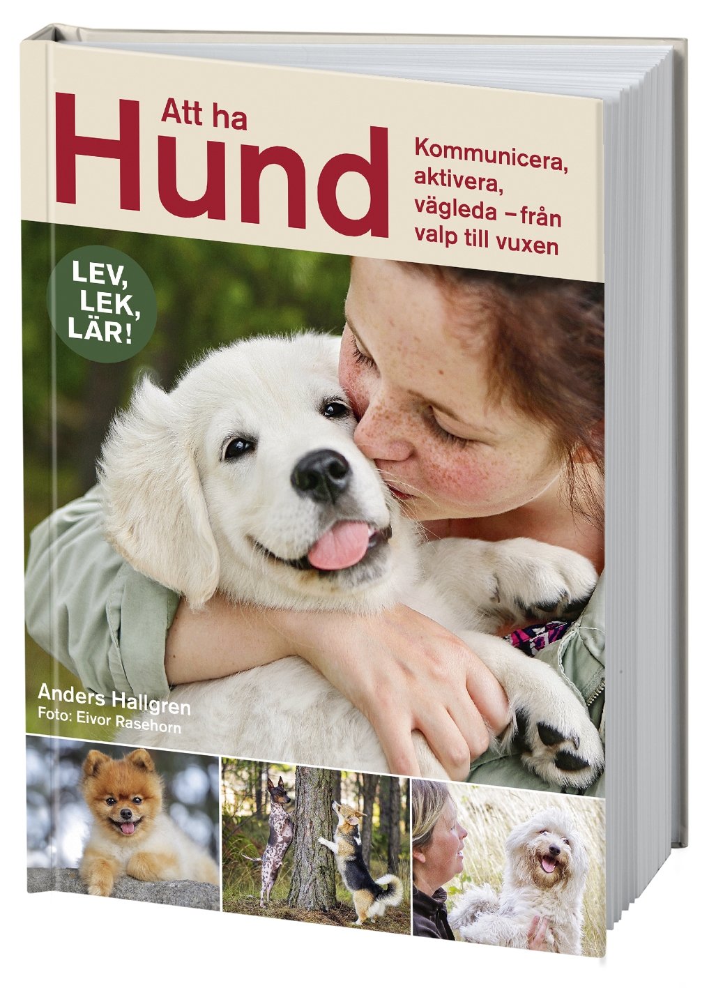 Att ha hund 9789155269166