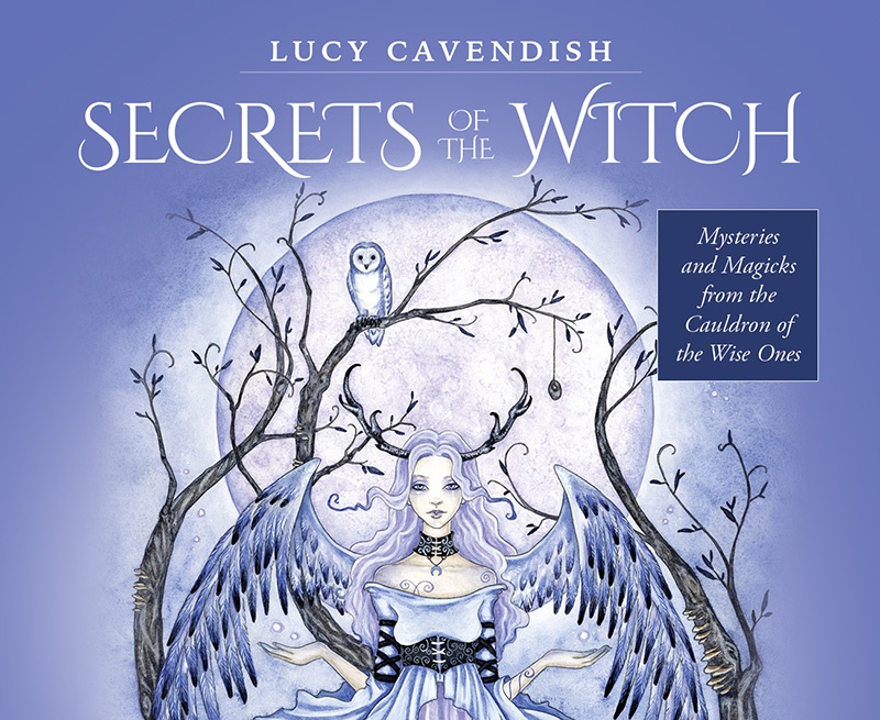 Secrets of the Witch : mini oracle cards 9781925538953