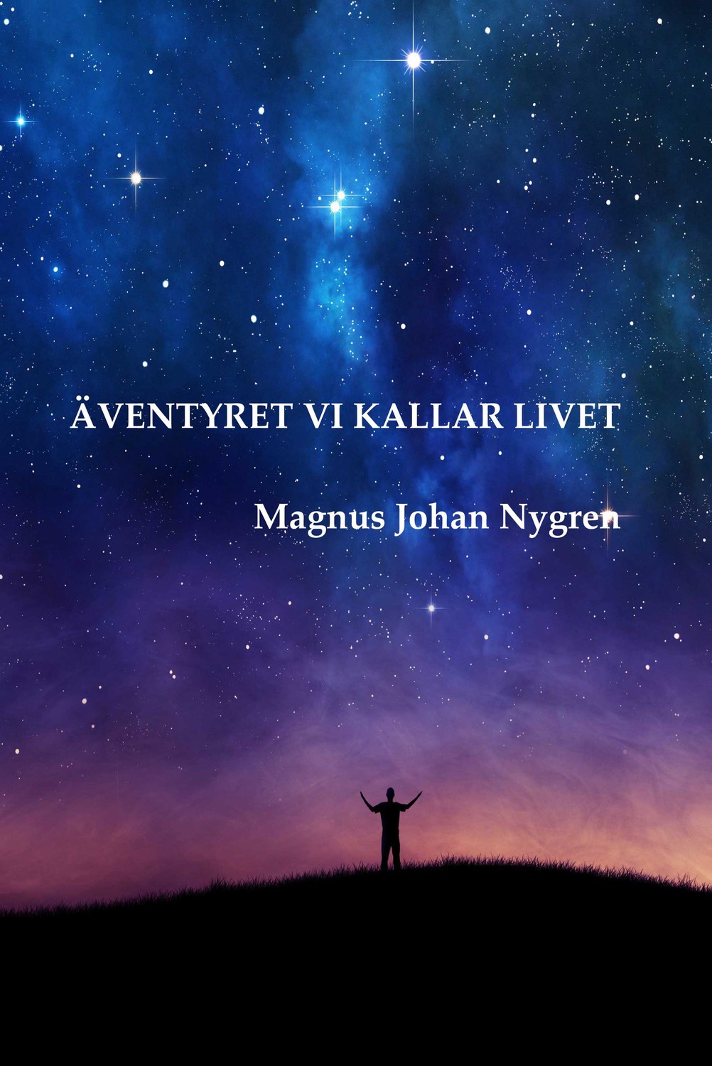 Äventyret vi kallar livet 9789187285196