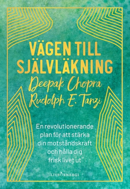 Vägen till självläkning 9789188633651