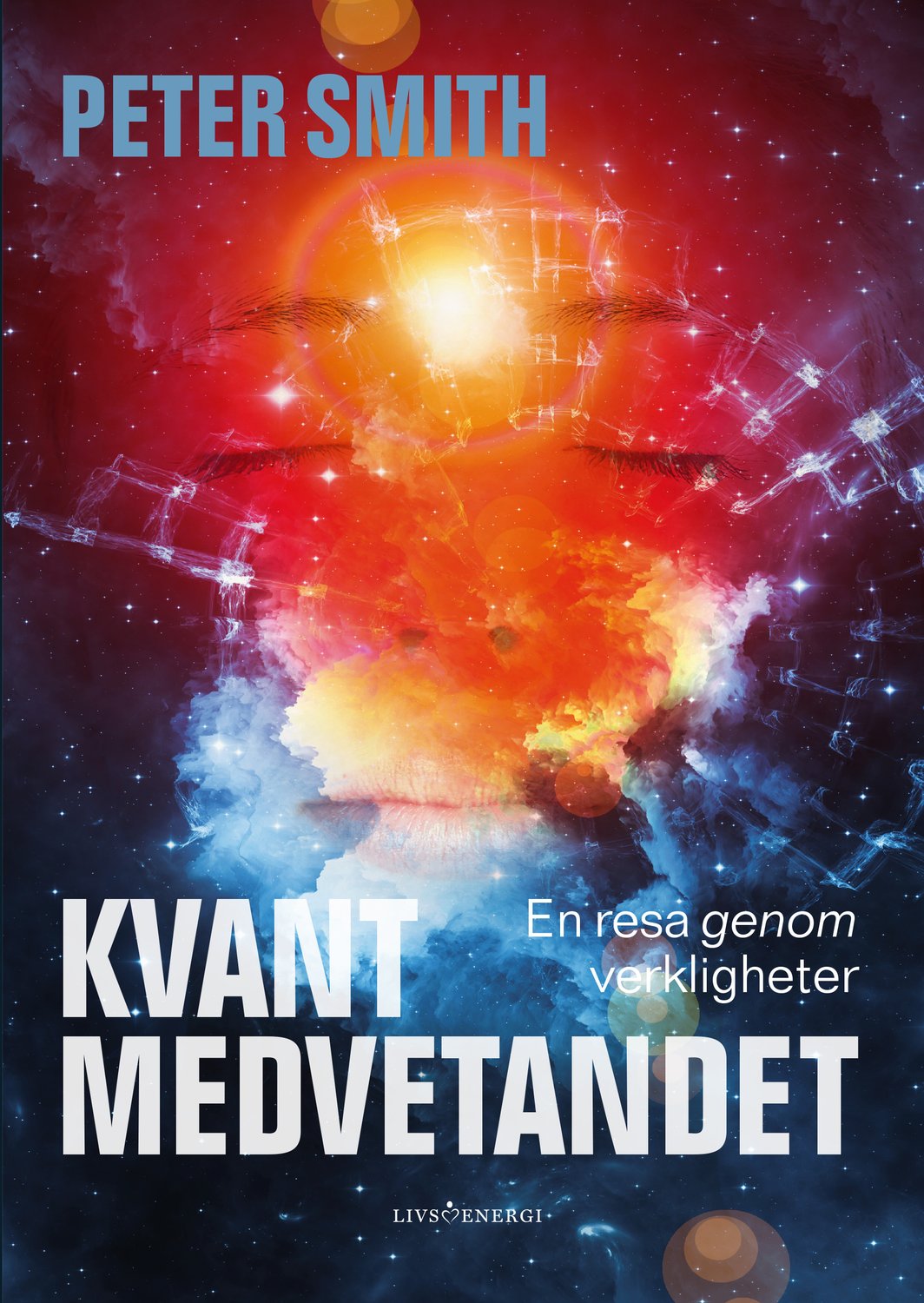 Kvantmedvetandet : en resa genom verkligheter 9789188633279
